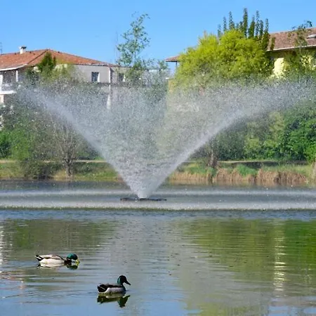 Maison Climatisee Avec Piscine Hotel Toulouse